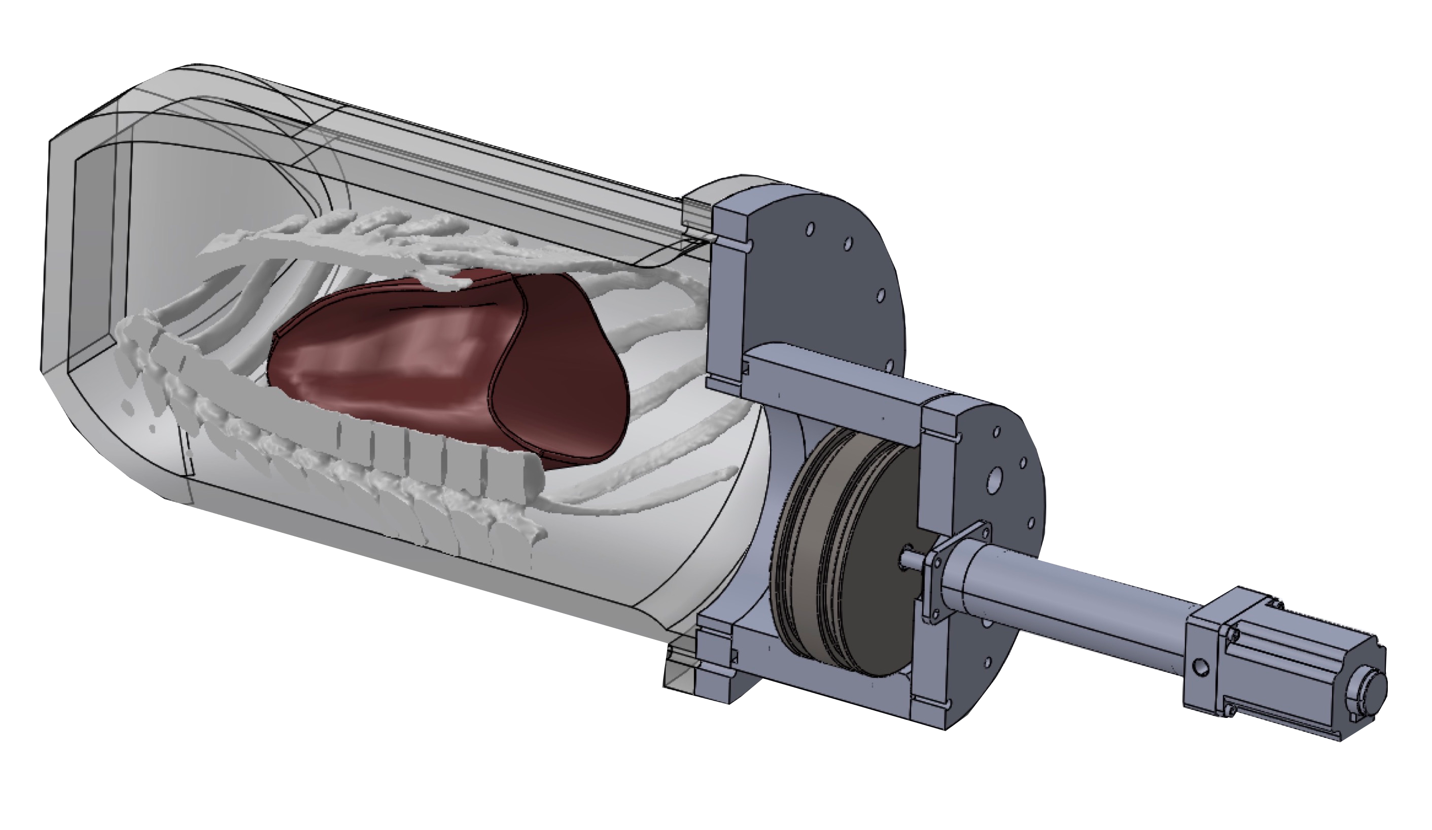 Breathing Mechanism CAD